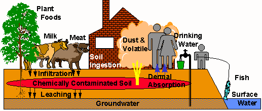 Diagram showing RESRAD-CHEM